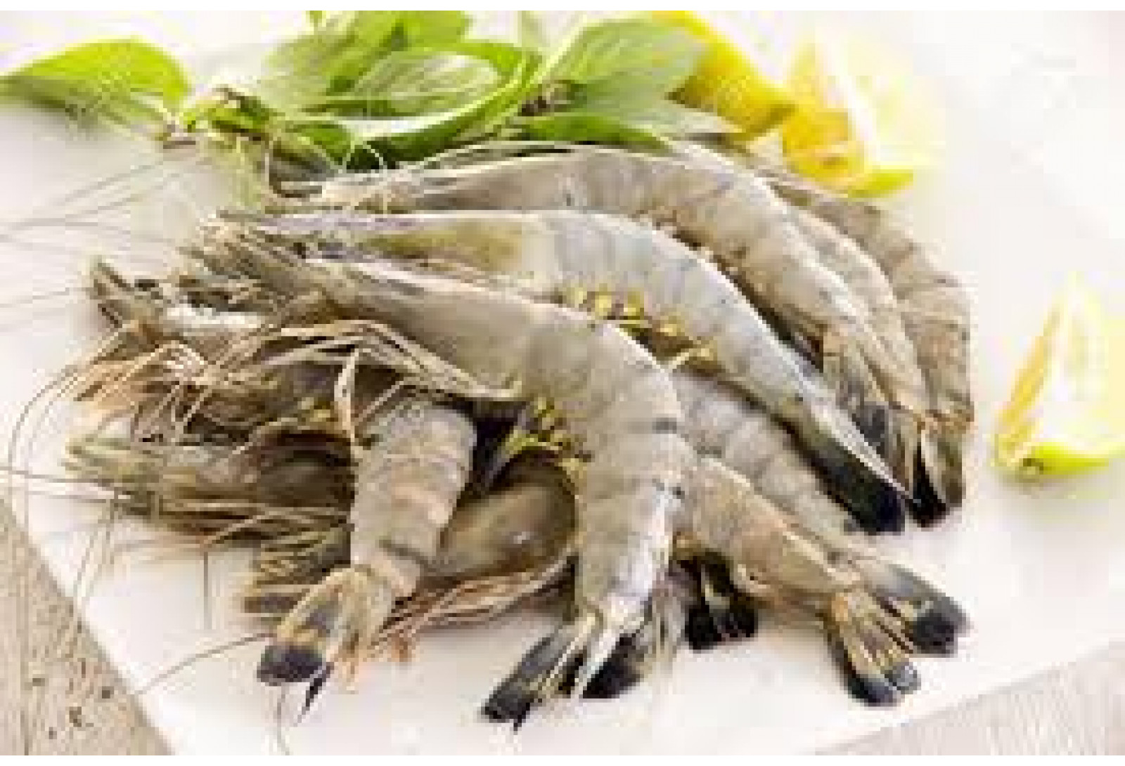 Wild Prawns Small / Shell fish / പ്രൗൺസ് (500gm) - Not Cleaned